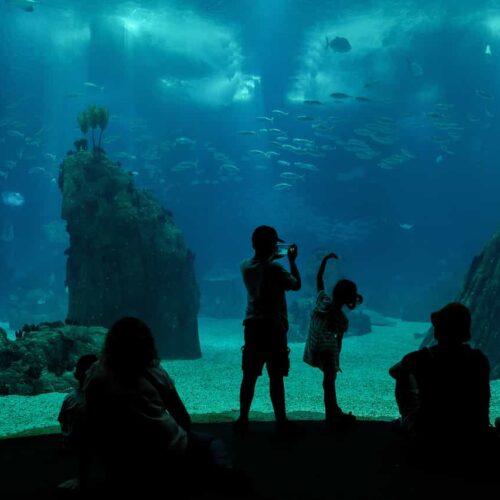 cosa vedere a lisbona in tre giorni con bambini